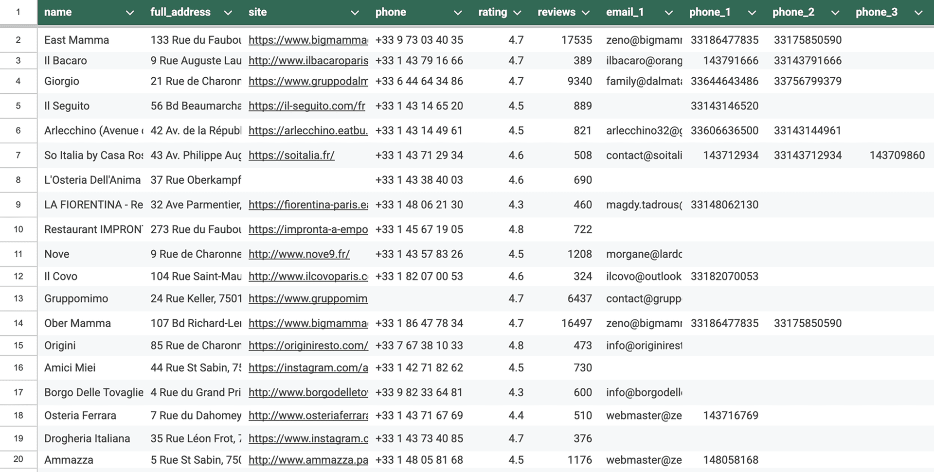 Spreadsheet view of enriched business data with multiple contact details and company information fields