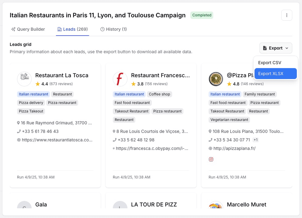 Export interface showing options to download extracted Google Maps business data as CSV or XLSX files